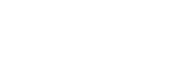 ev-academia